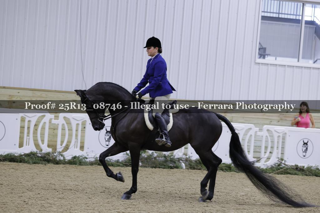 Proof 25R13_08746