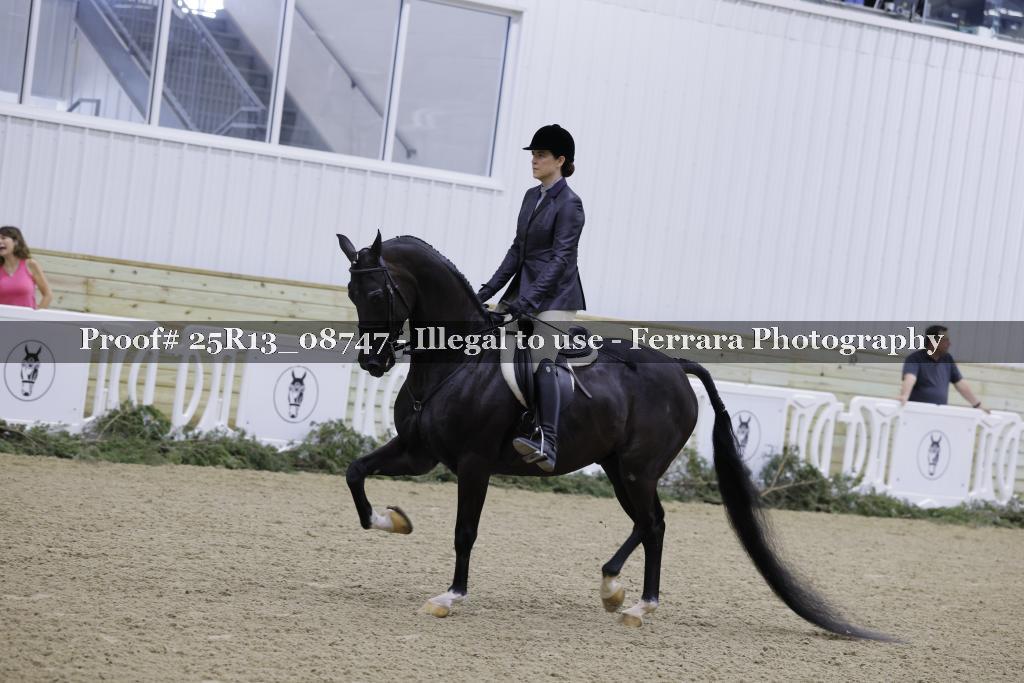 Proof 25R13_08747