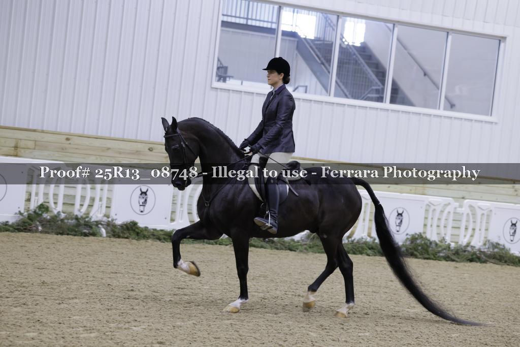 Proof 25R13_08748