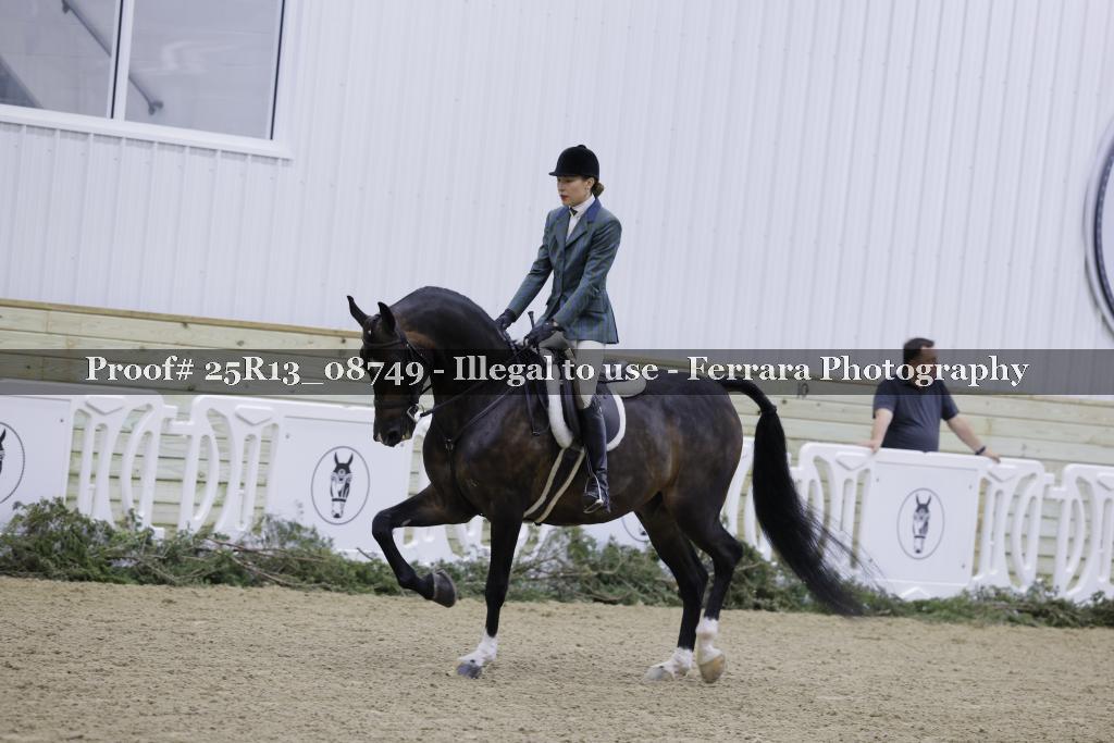 Proof 25R13_08749