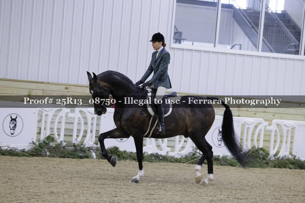 Proof 25R13_08750