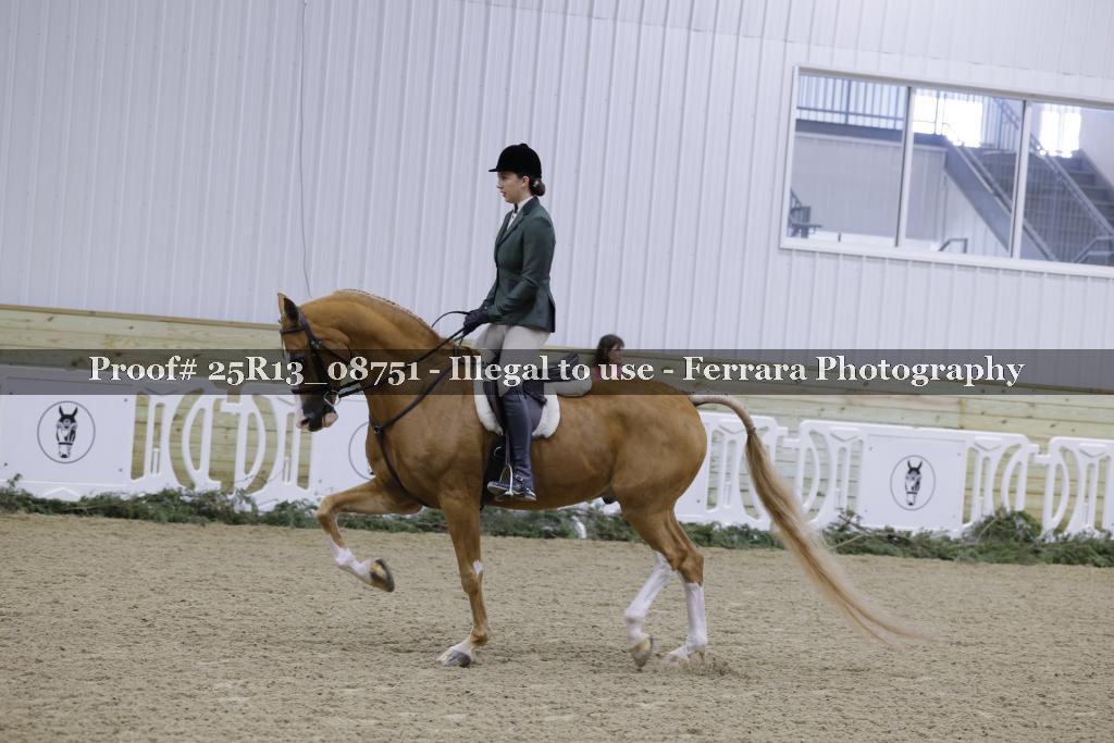Proof 25R13_08751