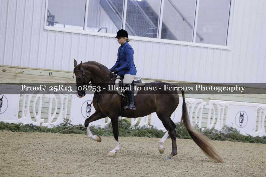 Proof 25R13_08753