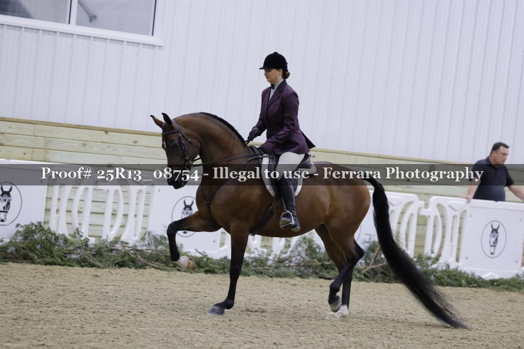Proof 25R13_08754