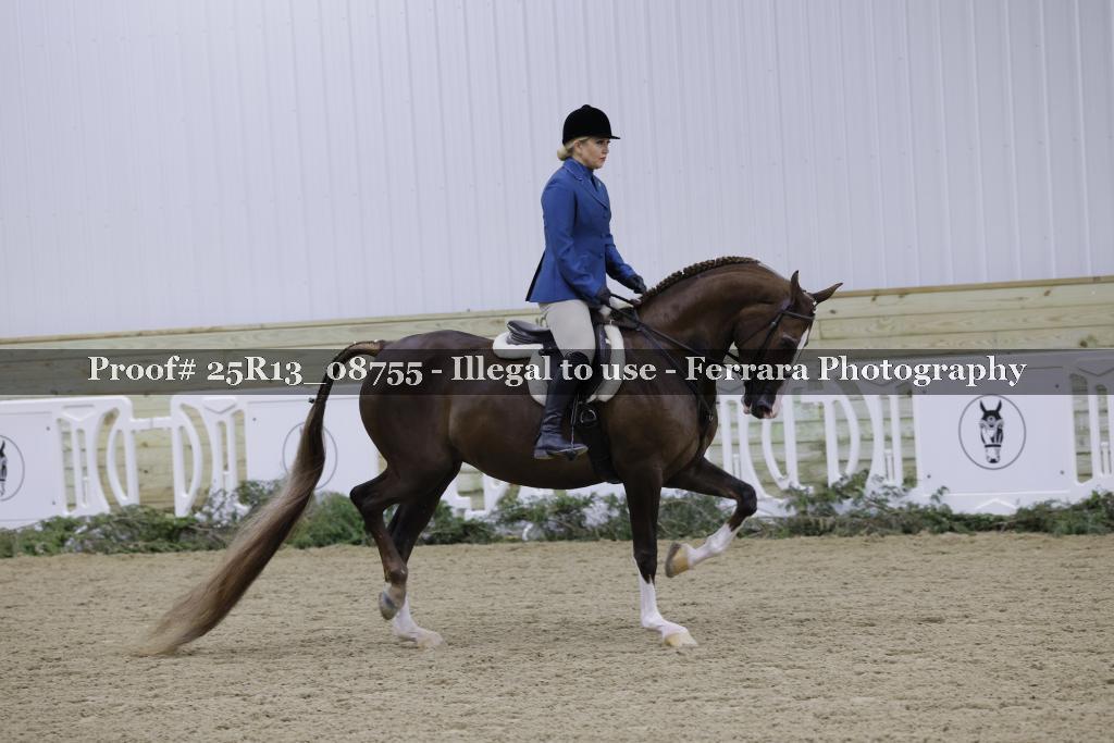 Proof 25R13_08755