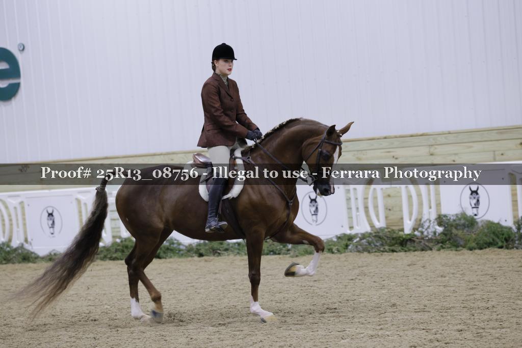 Proof 25R13_08756