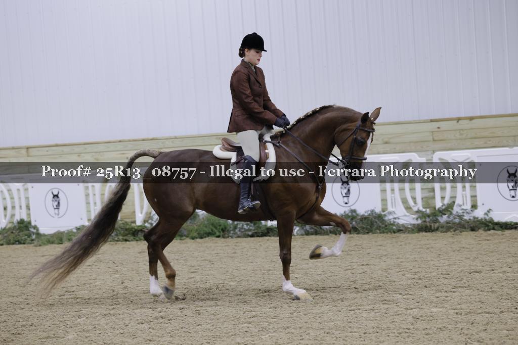 Proof 25R13_08757