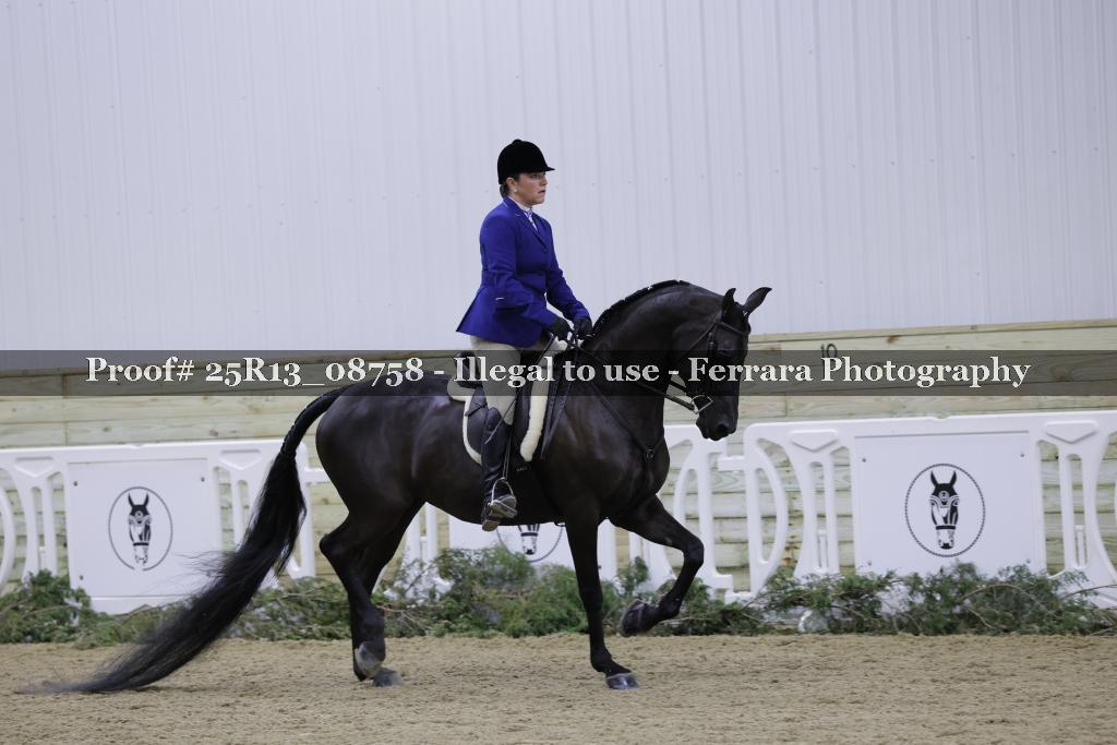 Proof 25R13_08758