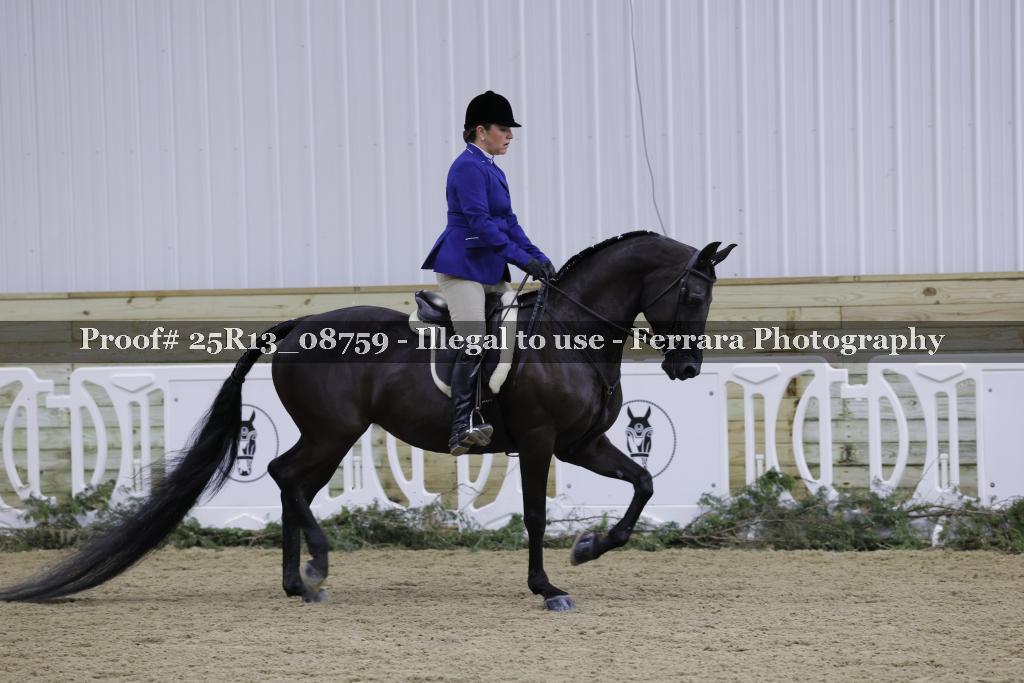Proof 25R13_08759