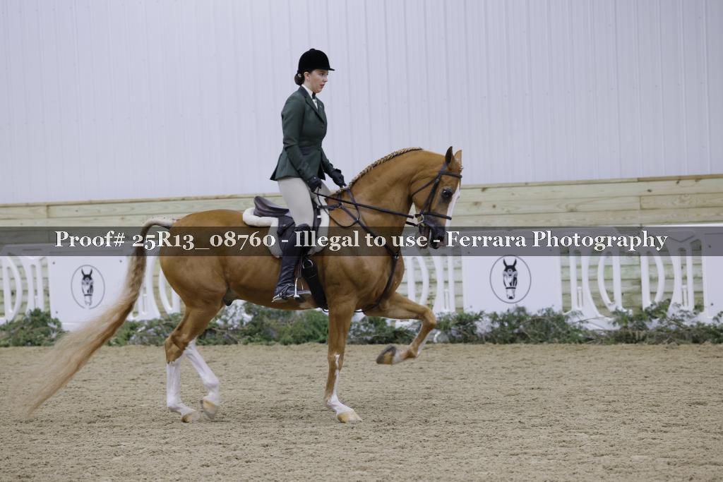 Proof 25R13_08760