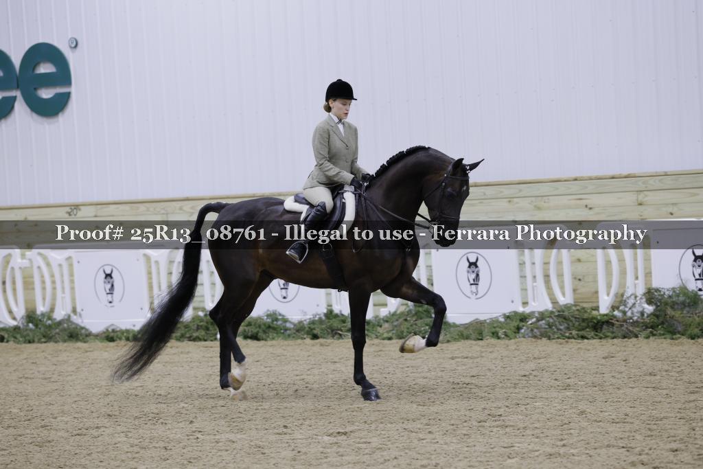 Proof 25R13_08761