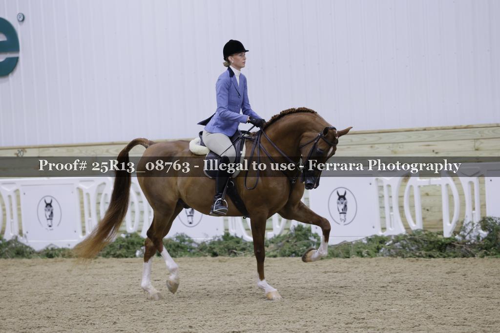 Proof 25R13_08763