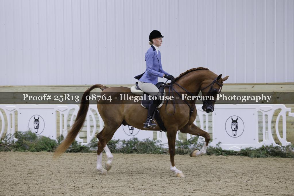 Proof 25R13_08764