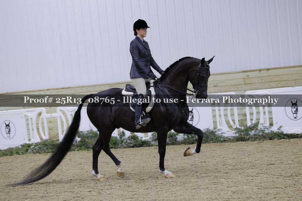 Proof 25R13_08765