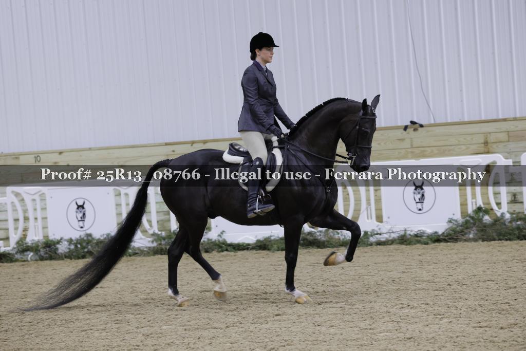 Proof 25R13_08766
