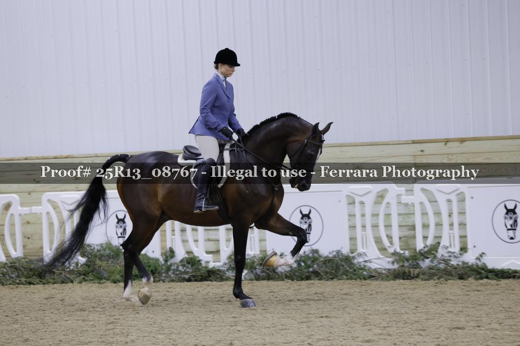 Proof 25R13_08767