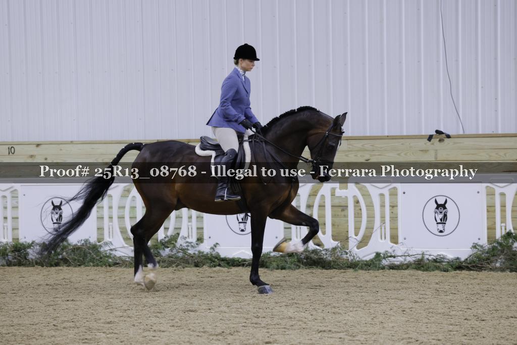 Proof 25R13_08768