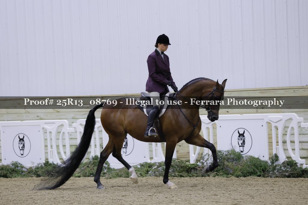 Proof 25R13_08769