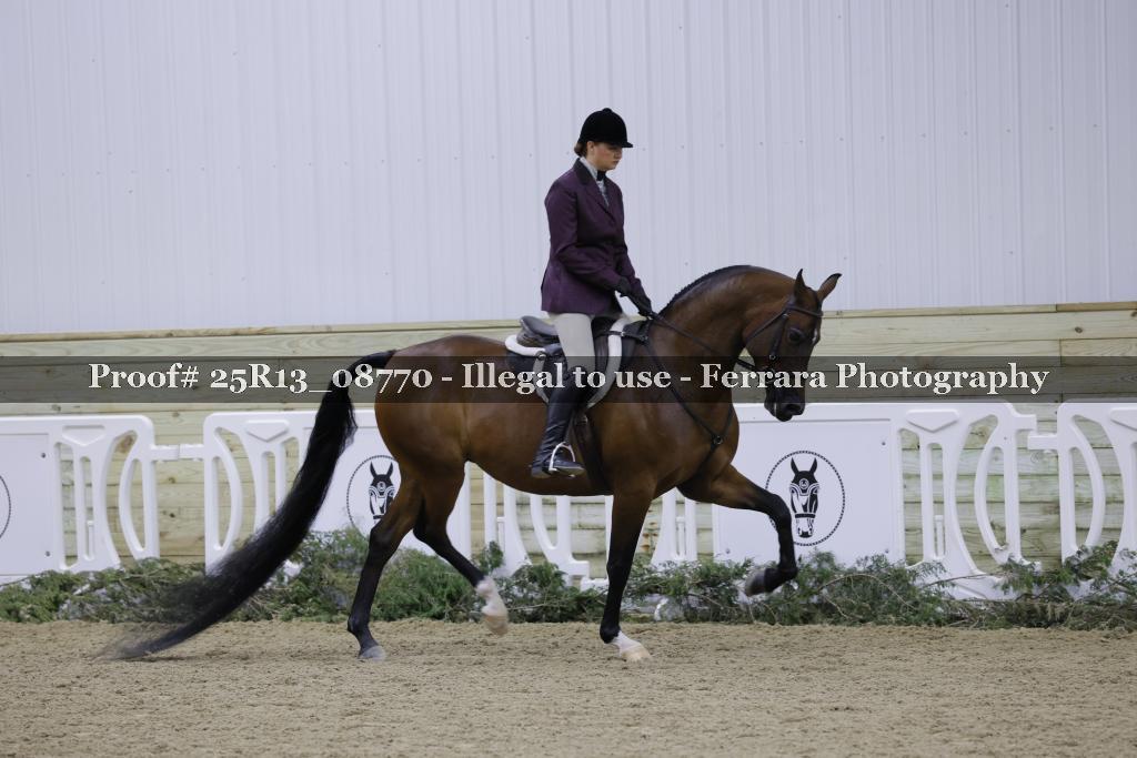 Proof 25R13_08770