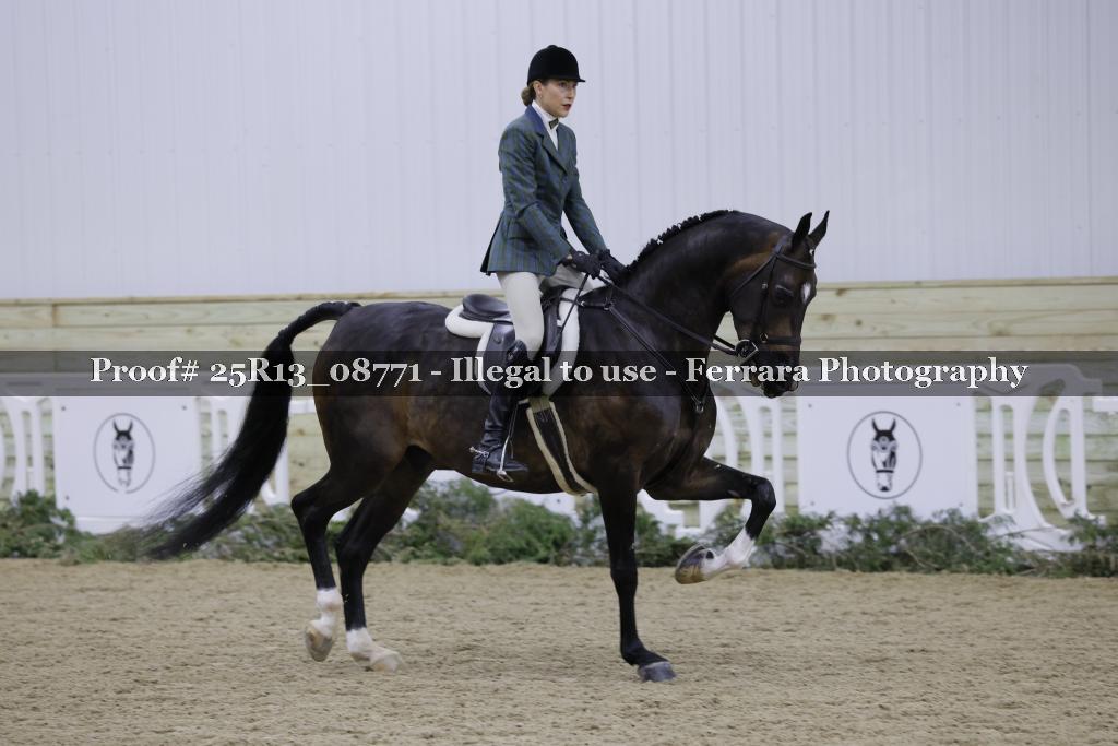 Proof 25R13_08771