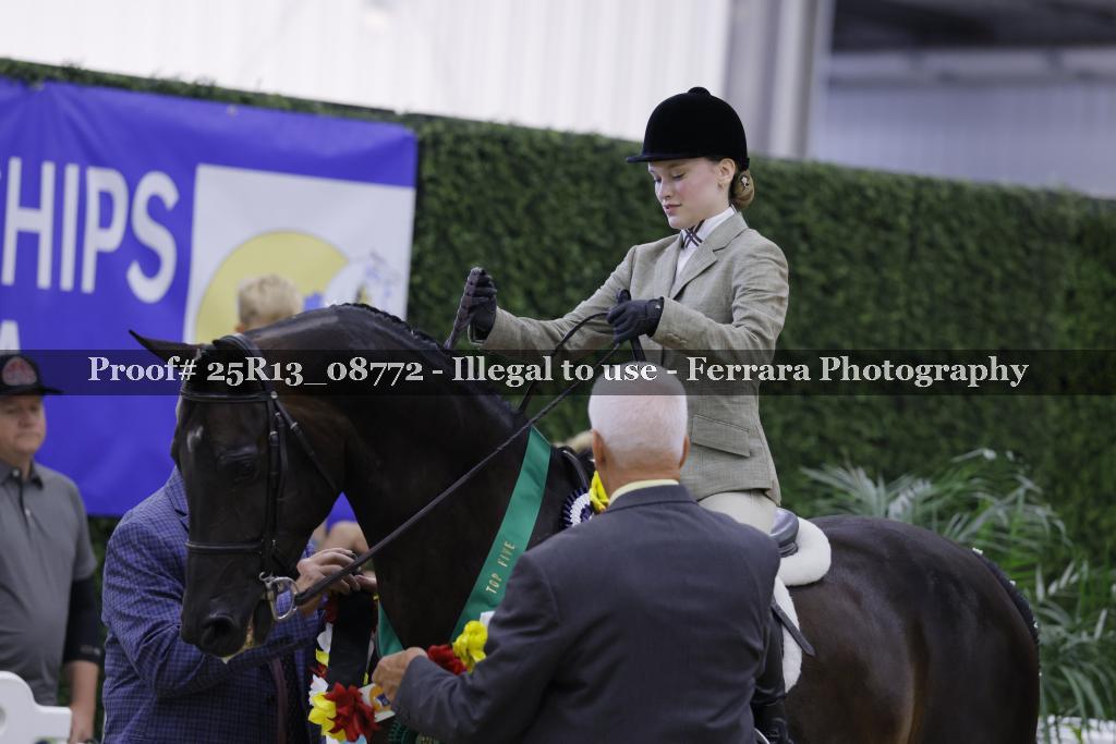 Proof 25R13_08772