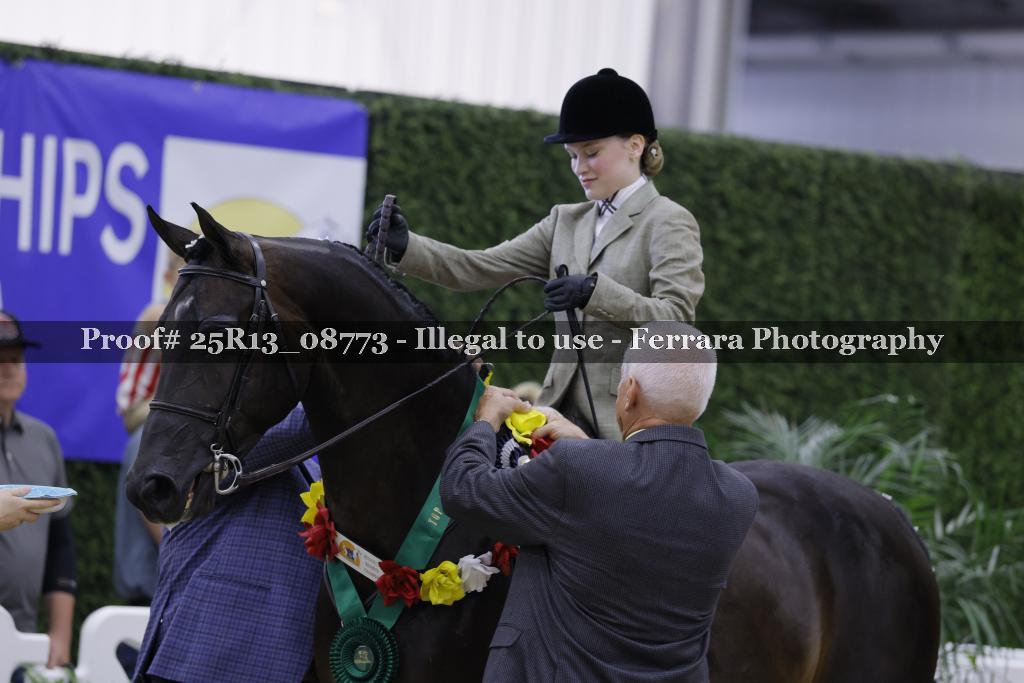 Proof 25R13_08773