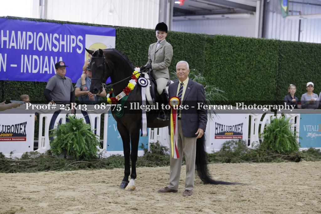 Proof 25R13_08775