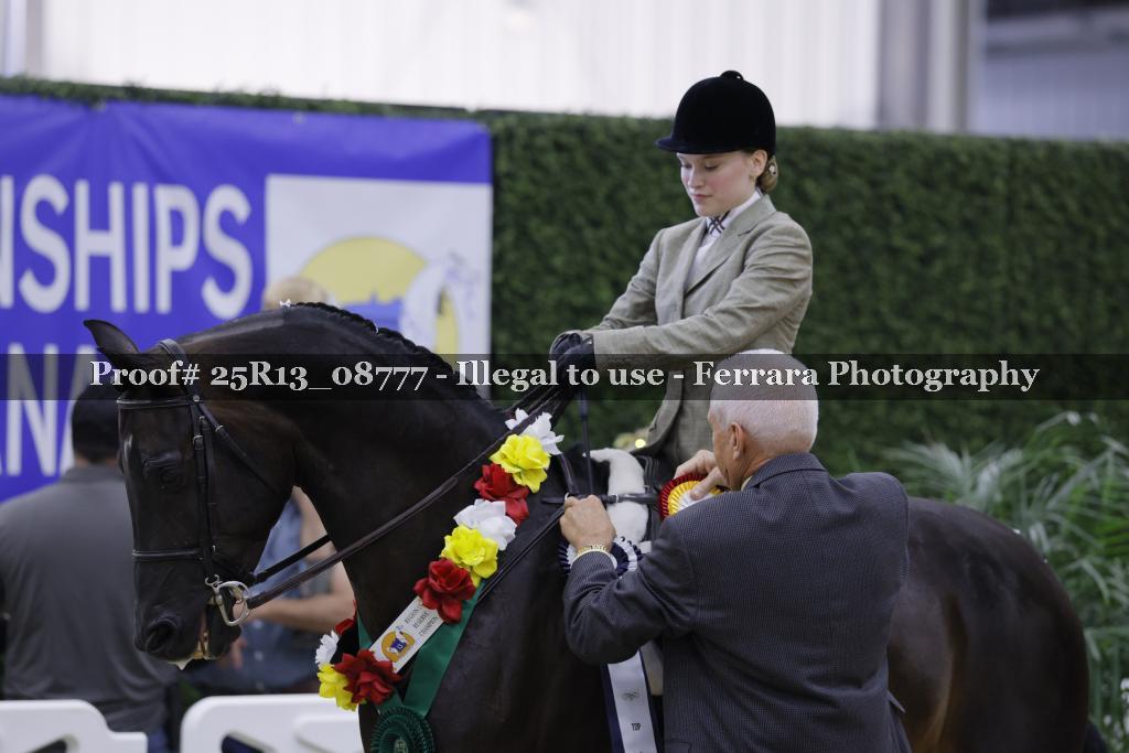 Proof 25R13_08777