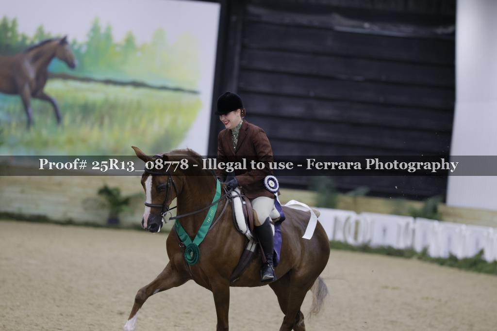 Proof 25R13_08778