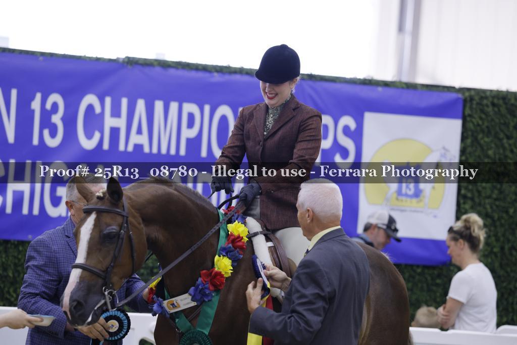 Proof 25R13_08780
