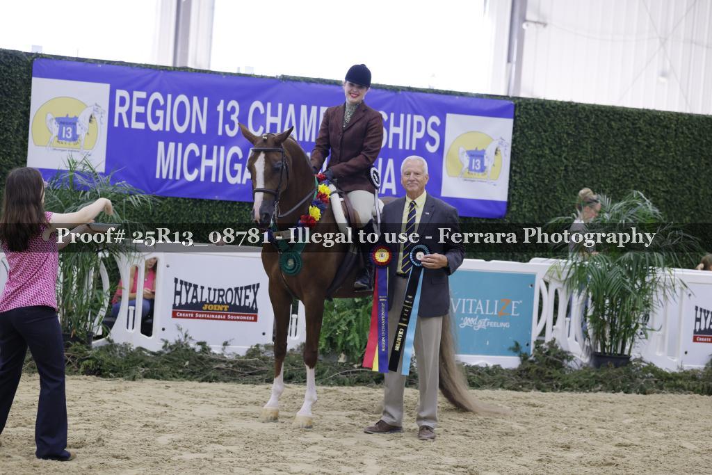Proof 25R13_08781