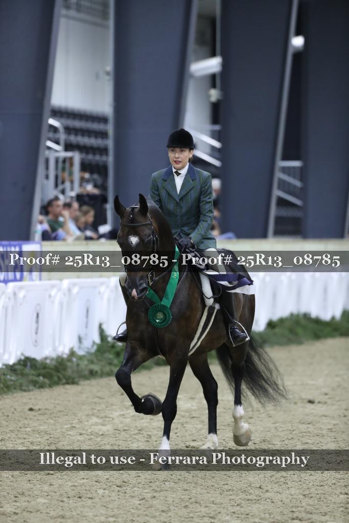 Proof 25R13_08785
