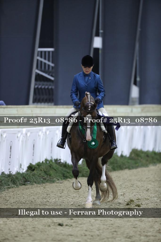 Proof 25R13_08786
