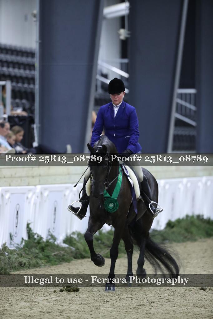 Proof 25R13_08789