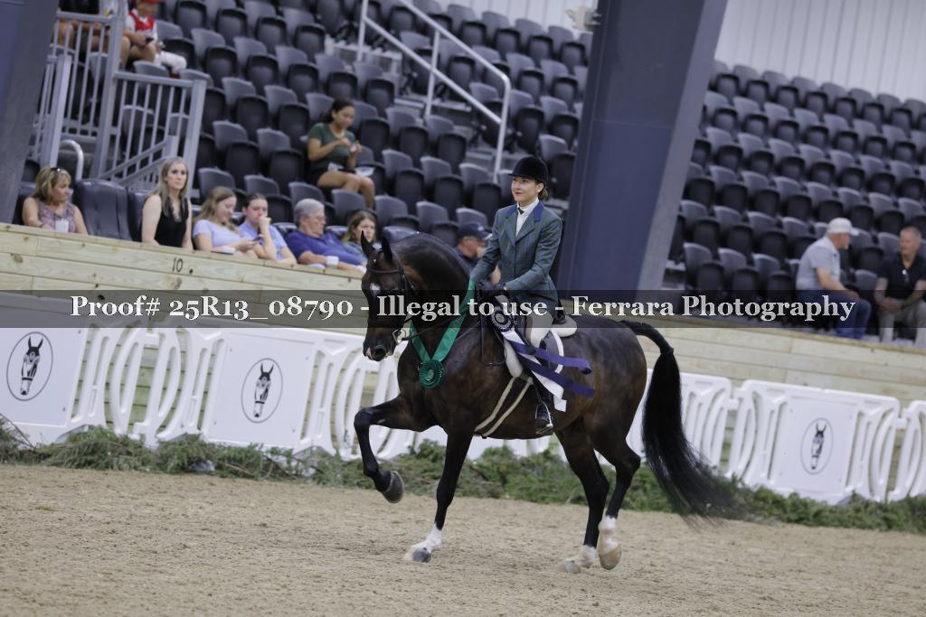 Proof 25R13_08790