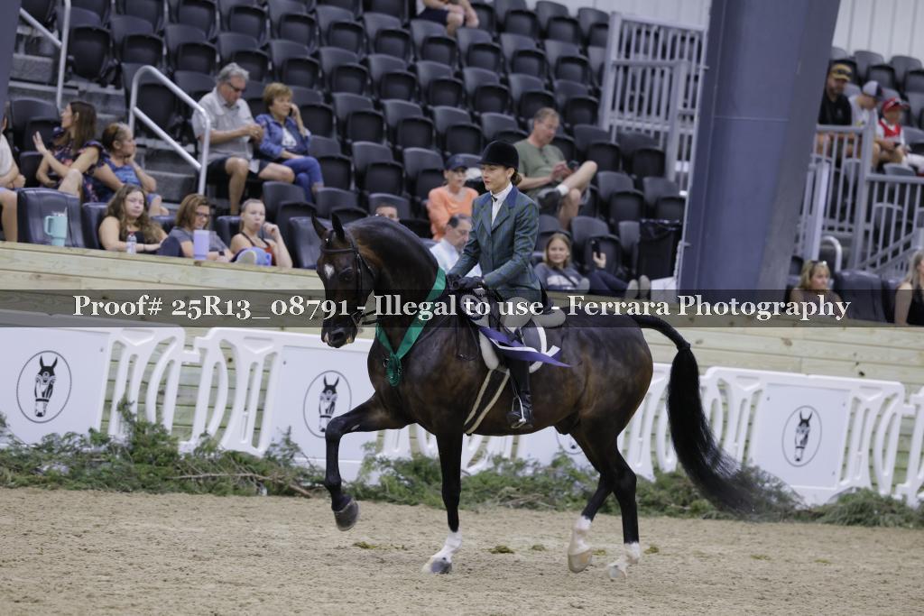 Proof 25R13_08791