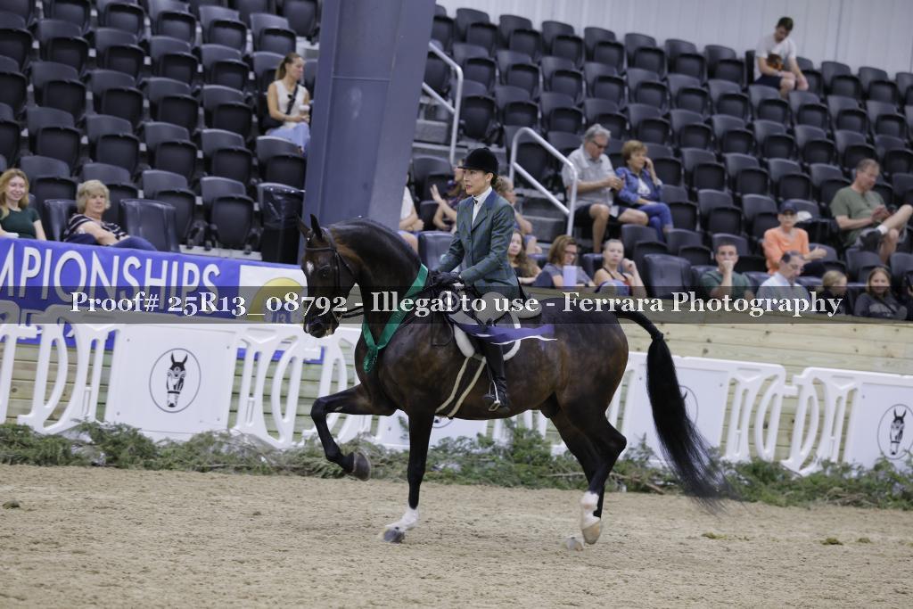 Proof 25R13_08792