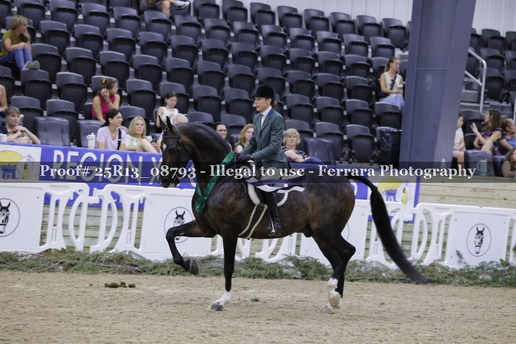 Proof 25R13_08793