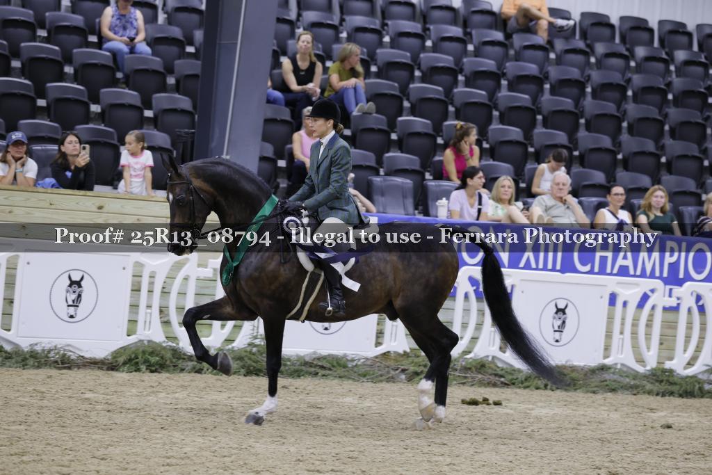 Proof 25R13_08794