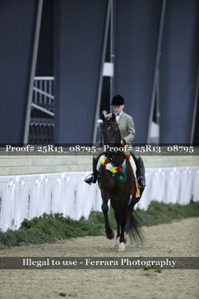 Proof 25R13_08795