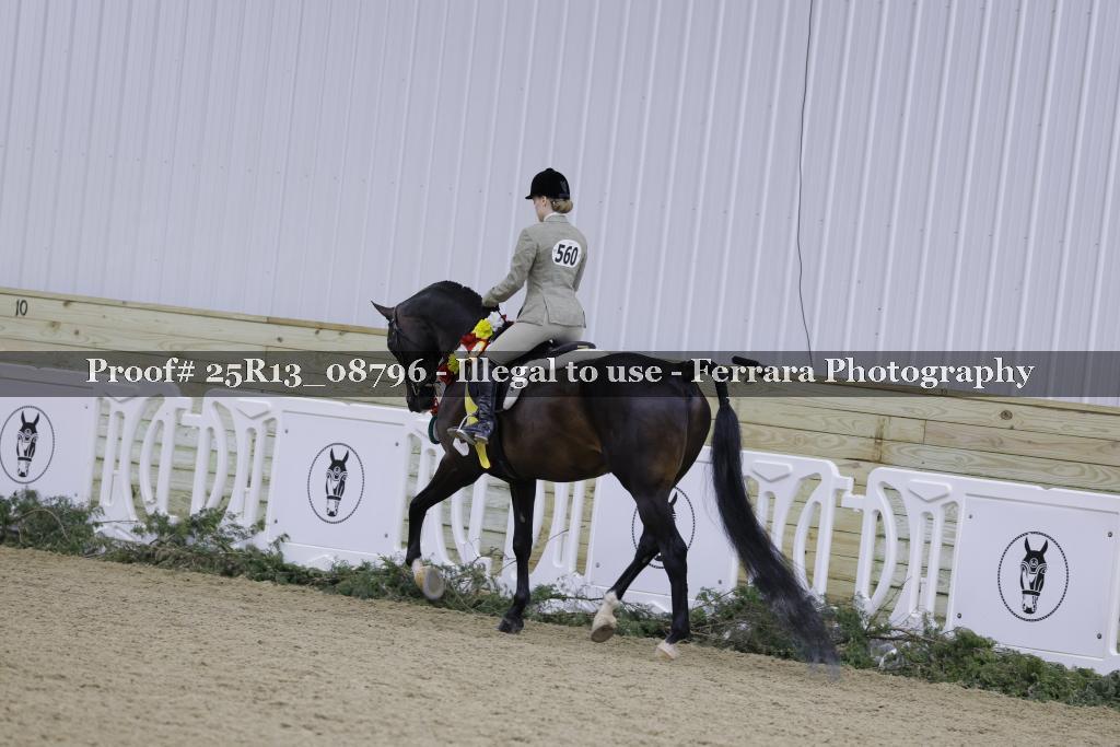 Proof 25R13_08796