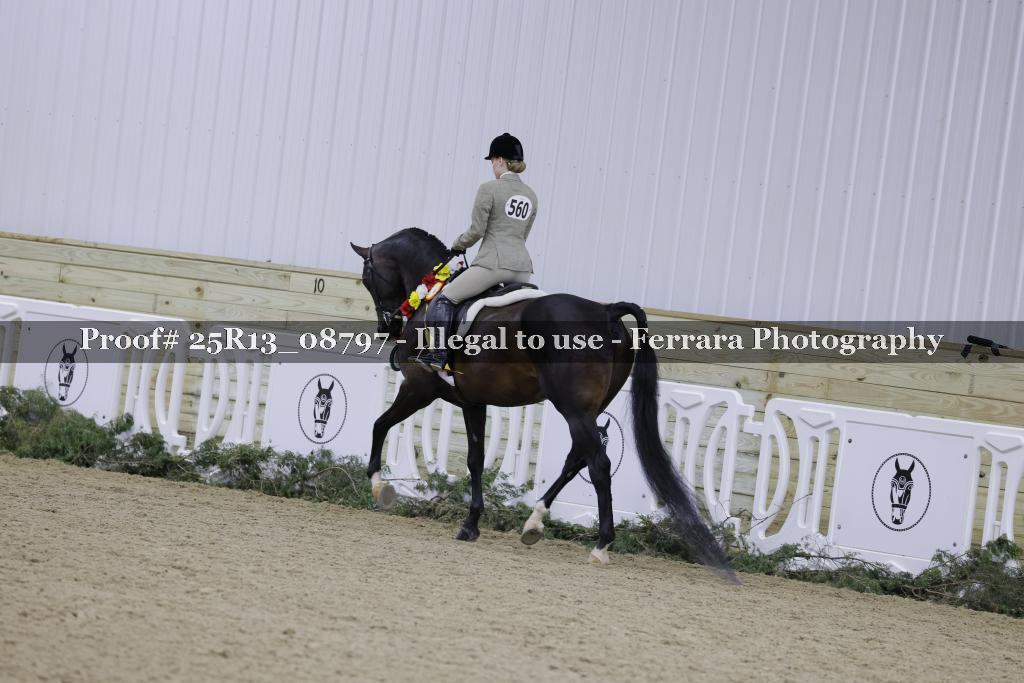 Proof 25R13_08797