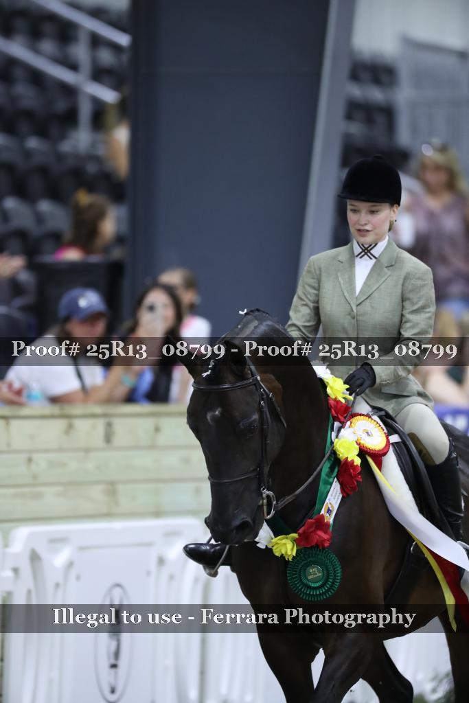 Proof 25R13_08799