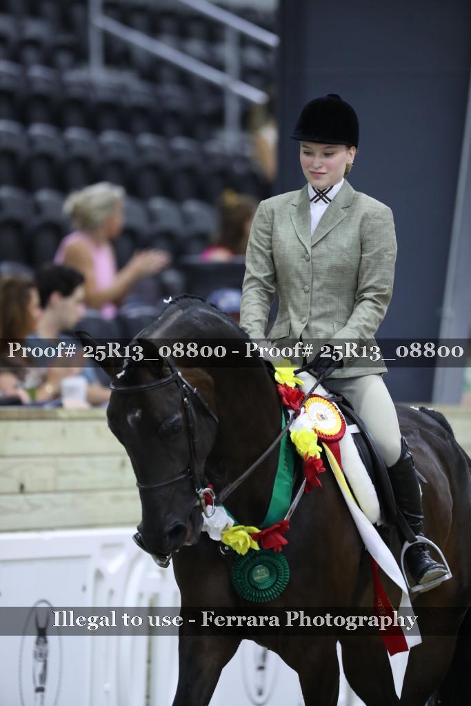 Proof 25R13_08800