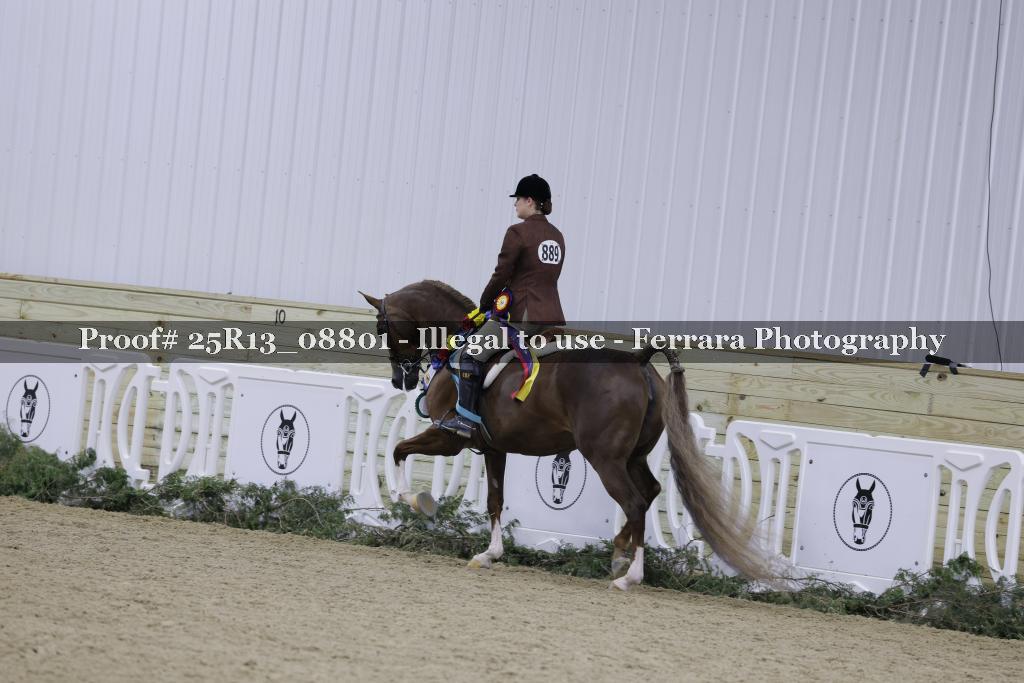 Proof 25R13_08801