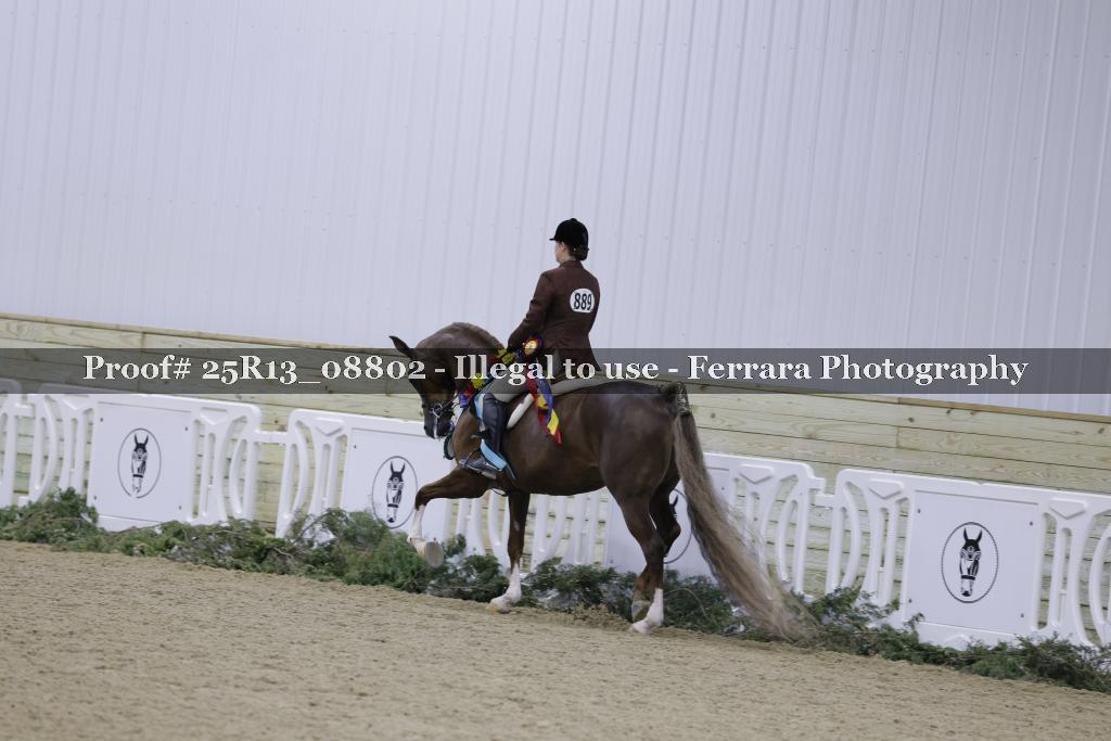Proof 25R13_08802