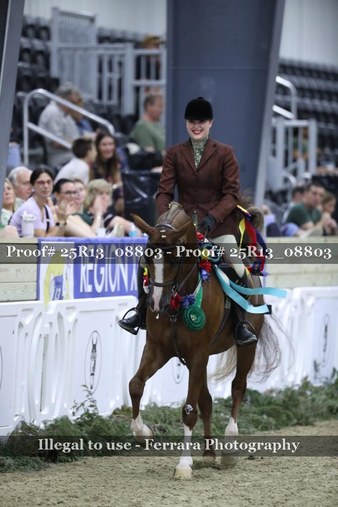 Proof 25R13_08803