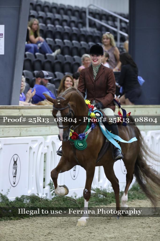Proof 25R13_08804