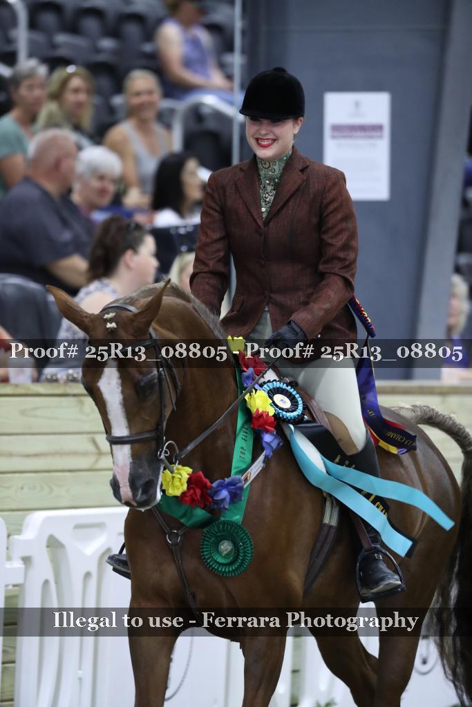 Proof 25R13_08805