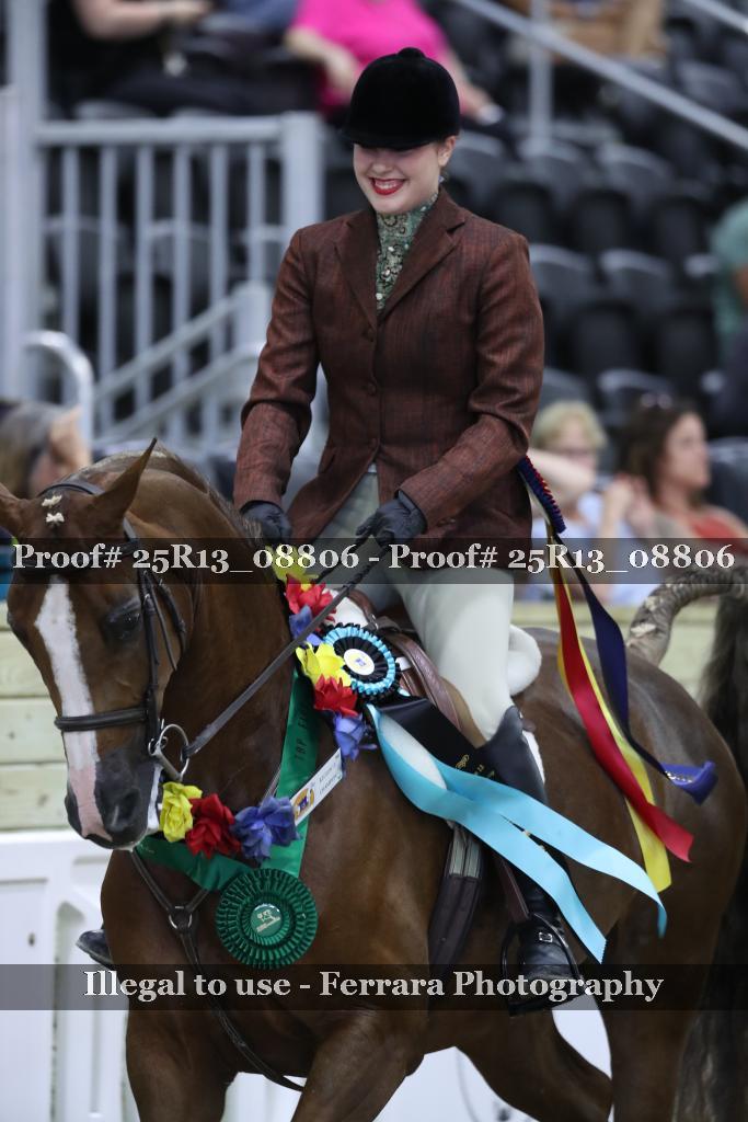 Proof 25R13_08806
